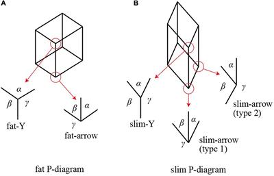 Rectangularity Is Stronger Than Symmetry in Interpreting 2D Pictures as 3D Objects